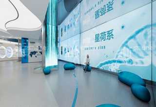 浙江小朋友国画练习